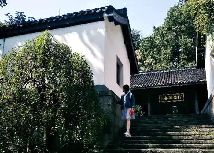 浙江工業(yè)大學(xué)毛露婷：從現(xiàn)在開始讓自己努力變強(qiáng)吧！