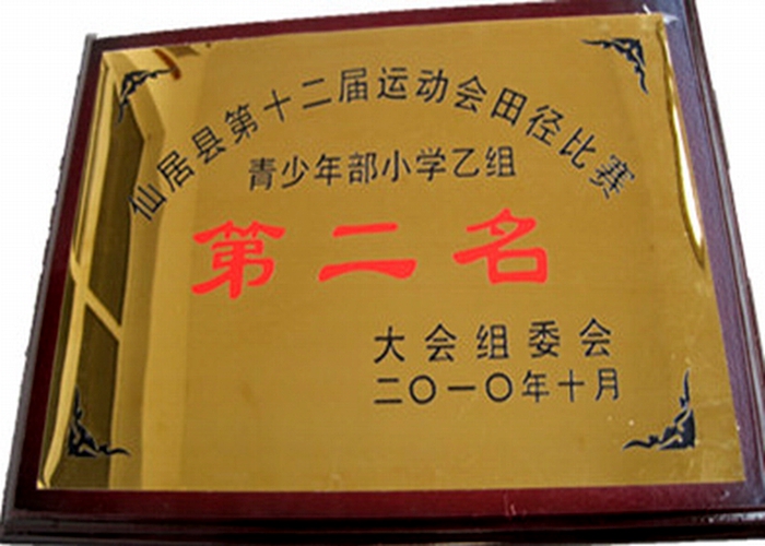 仙居縣第十二屆運動會田徑比賽小學(xué)乙組第二名
