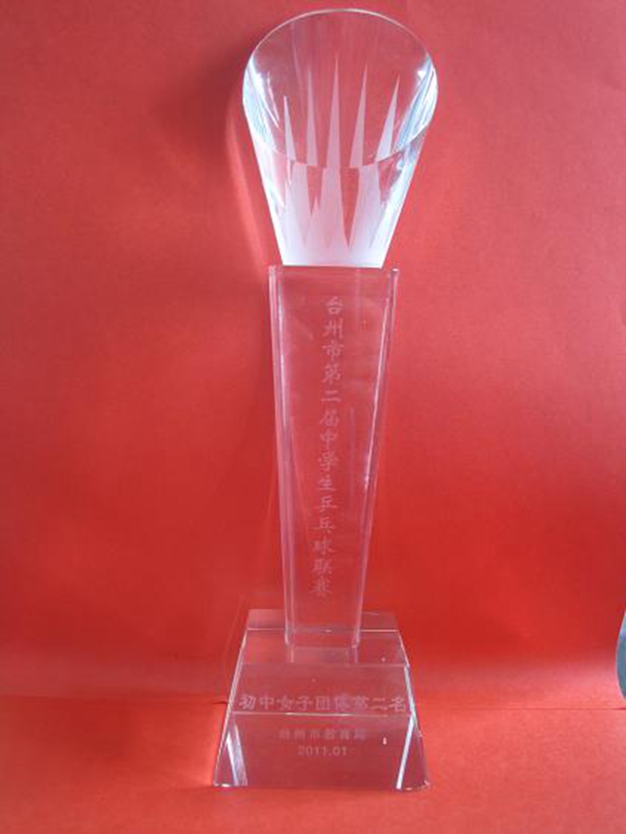 臺州市第二屆中學(xué)生乒乓球聯(lián)賽初中女子團(tuán)體第二名